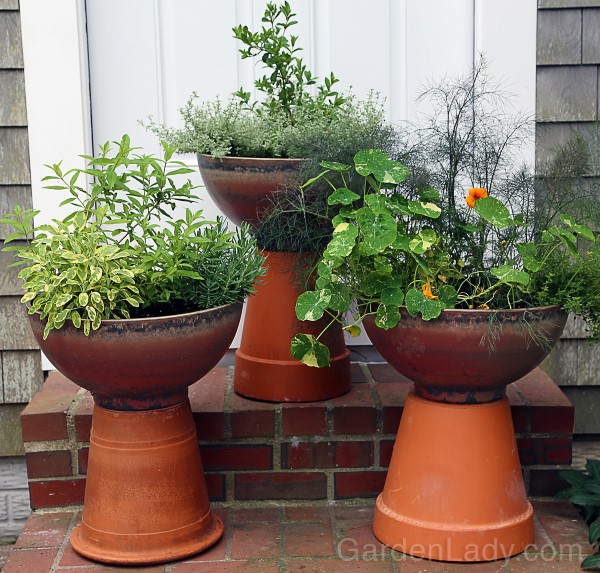 Herb Pots for a Cocktail Hour Garden