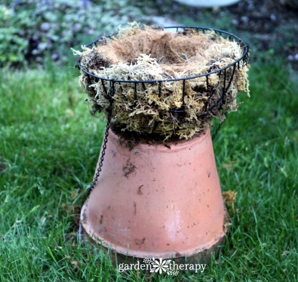 putting together a well-designed hanging basket