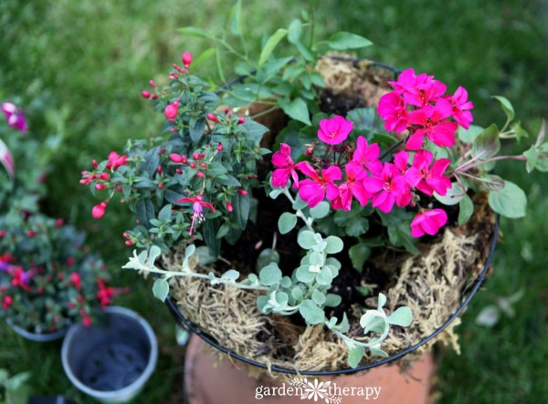 Design Hanging Baskets Like a Pro - Garden Therapy