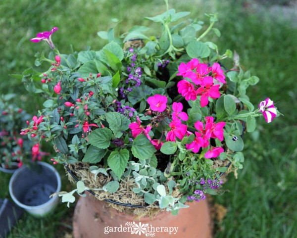 Design Hanging Baskets Like a Pro - Garden Therapy