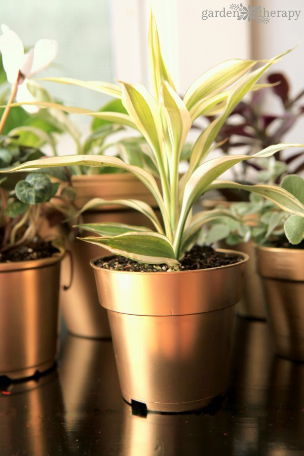 How to get brilliant shine on these DIY gold painted pots