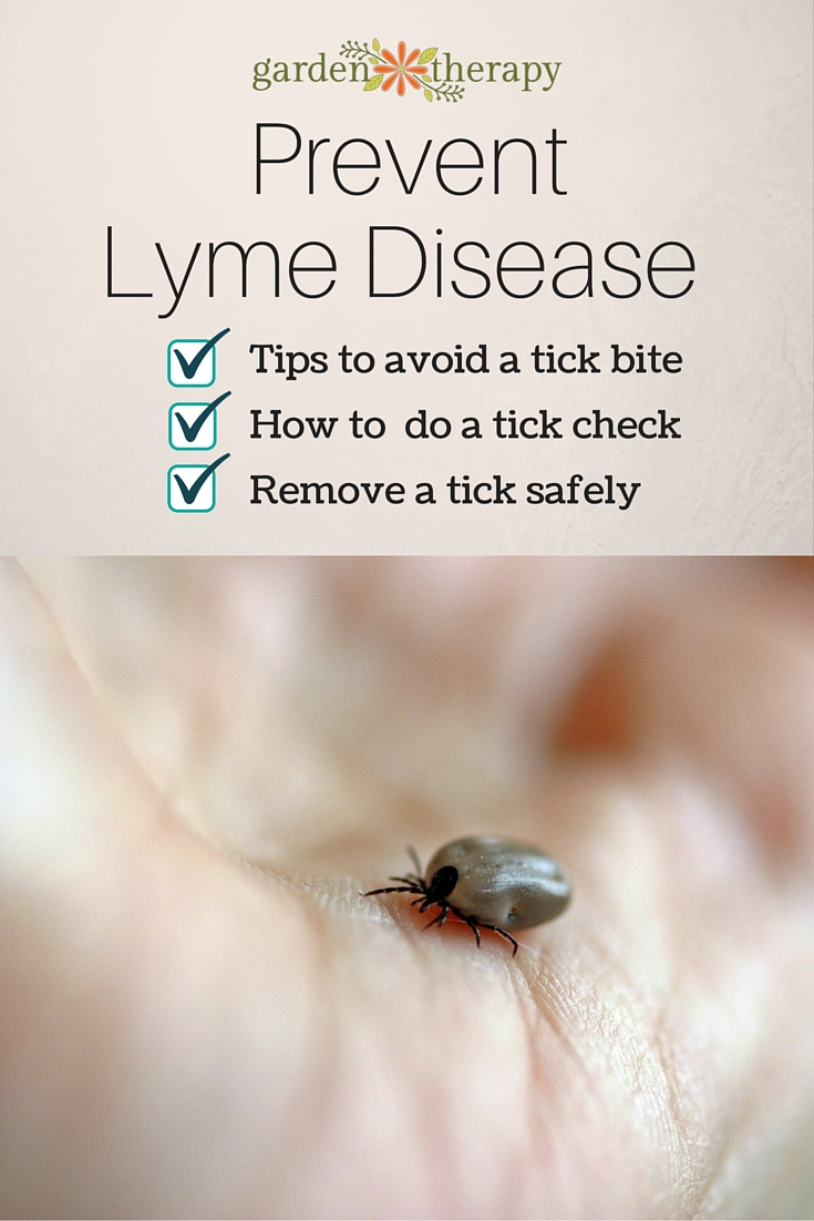 Lyme Disease Prevention