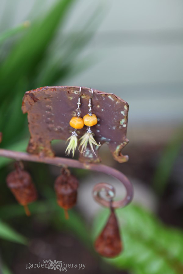 Orange Bead Air Plant Earrings Garden Therapy