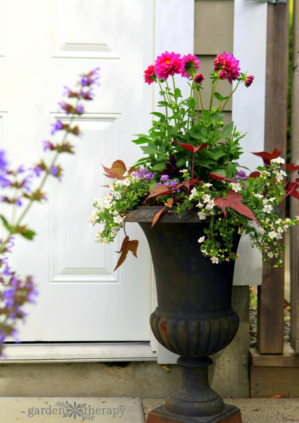 Sun loving planter combination