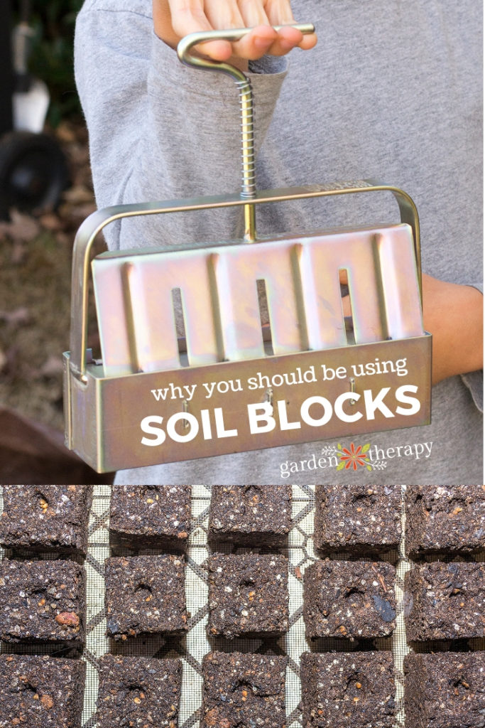 Why You Should Be using Soil Blocks