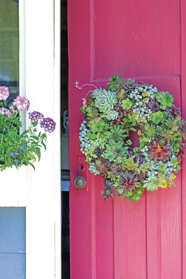 succulent wreath hanging on the front door