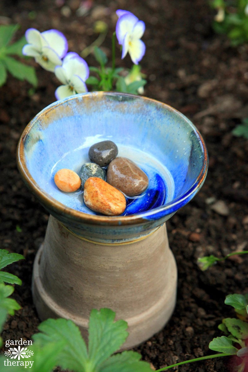 a bee bath to provide water for bees