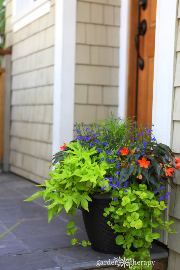 shade planter combination for front door entry