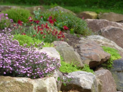 Creating Beauty and Structure with a Rock Wall Garden - Garden Therapy