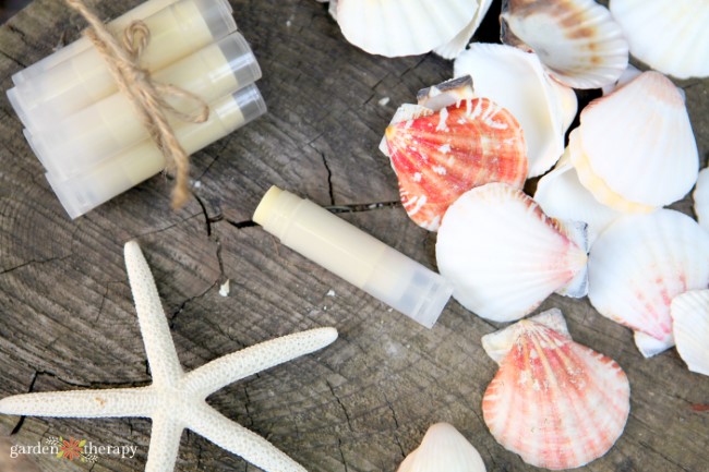 homemade lip balm with SPF next to seashells