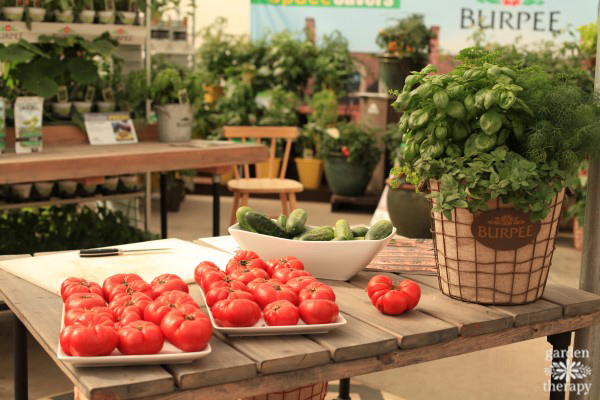 Burpee Home Gardens display