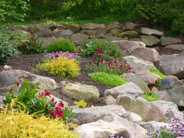 Colorful rock garden