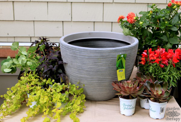 DIY Container Garden Ideas