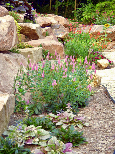 Drought-tolerant planting in rock wall gardens