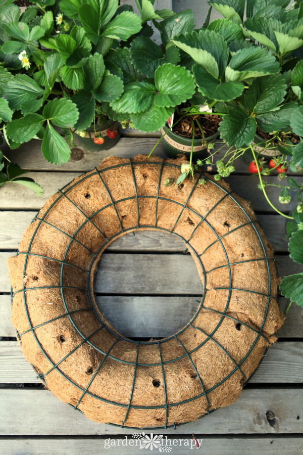 Making a DIY Living Edible Wreath