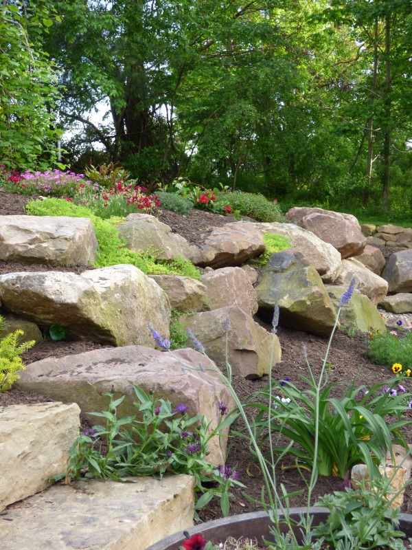 Plants change every year in this rock wall garden