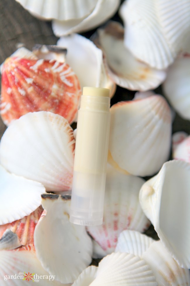 diy sunscreen lip balm amongst shells