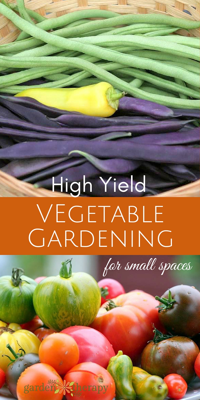 The secrets to high-yield vegetable gardening in small spaces