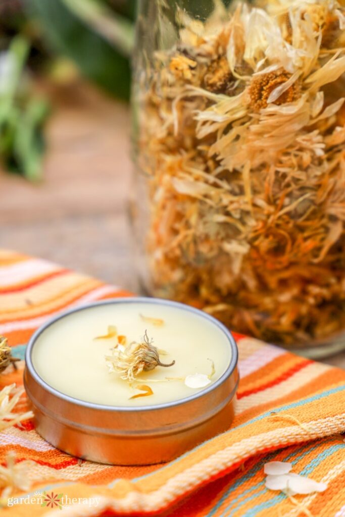 calendula salve