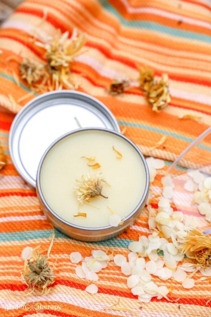 calendula salve recipe