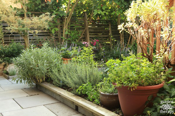 Growing Herbs And Flowers In Planters In A Kitchen Garden Flower