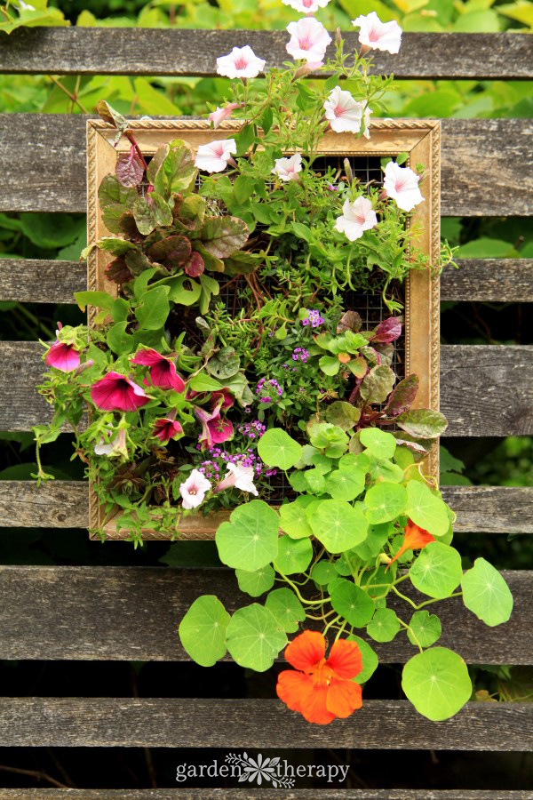 Colorful Vertical Planters with Annuals - living artwork