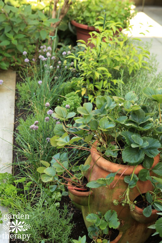 herb garden being prepped for the winter months