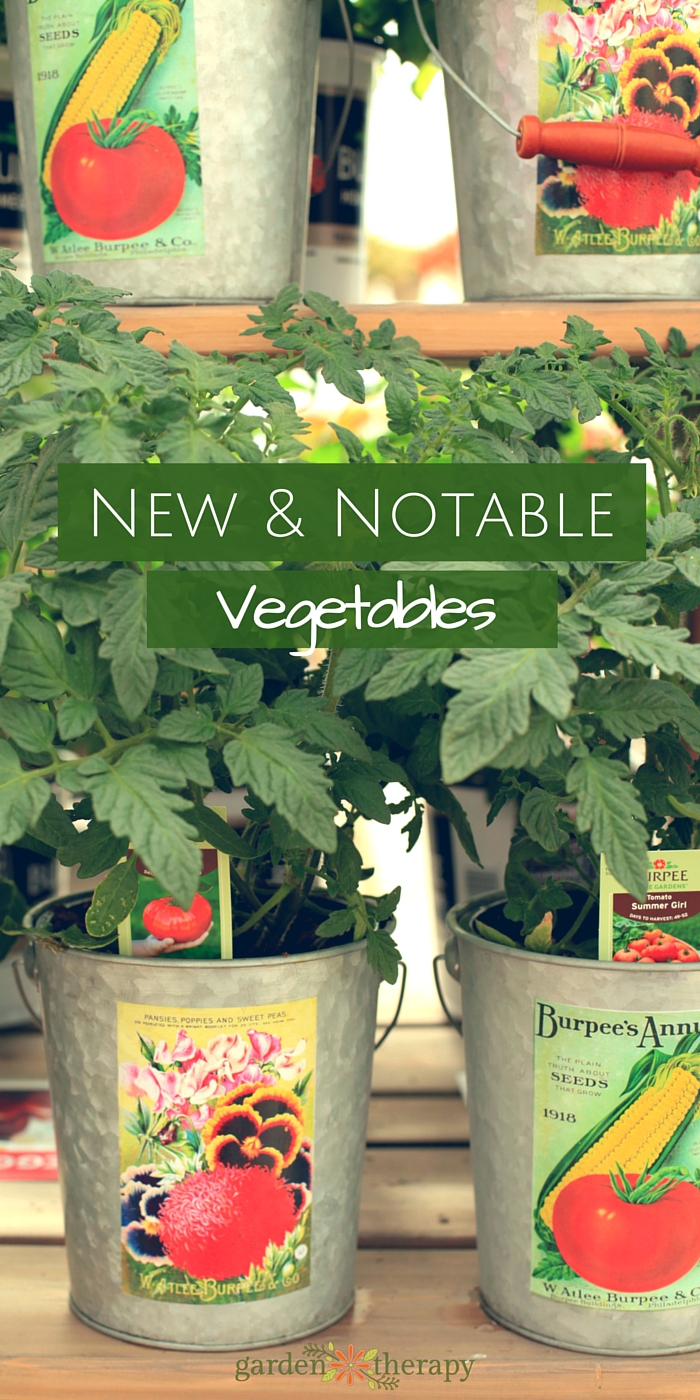 New and notable vegetable seeds and plants for the home garden