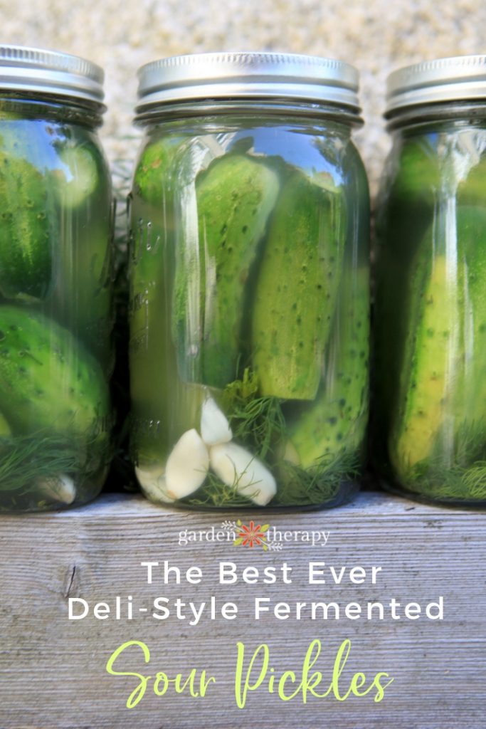 The Best Ever Sour Pickles Recipe