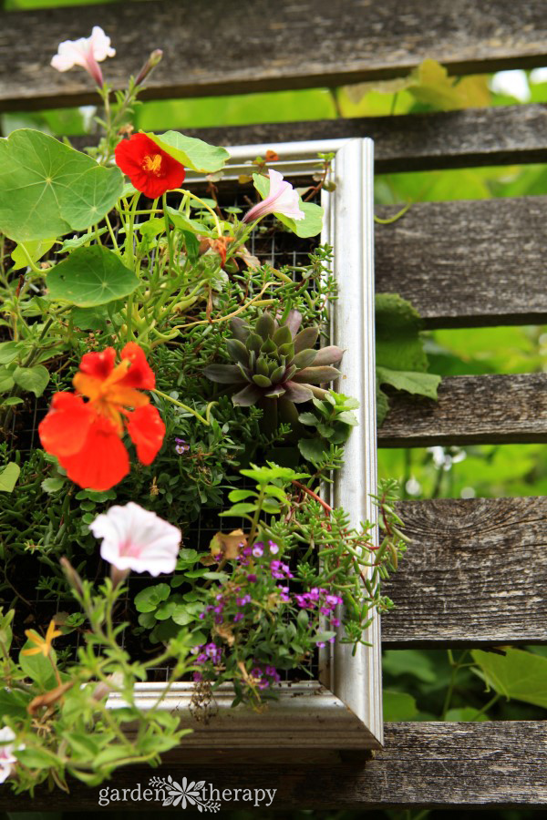 goregous vertical planters