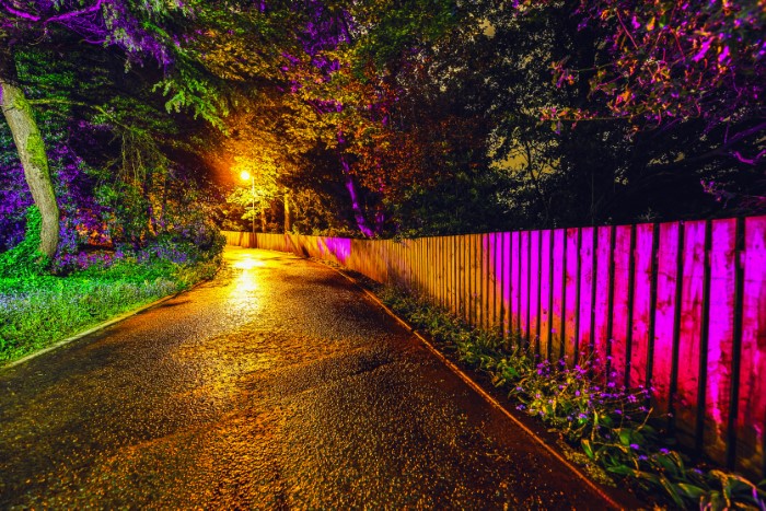 coloured accent lights on fence