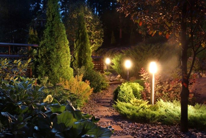 pathway lights in a garden