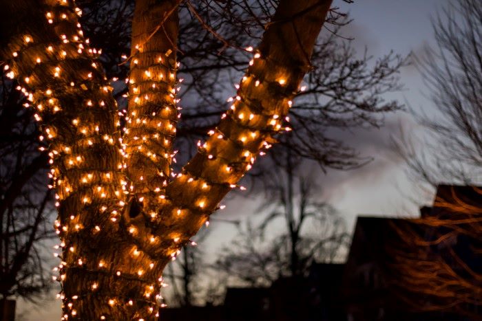 white outdoor string lights