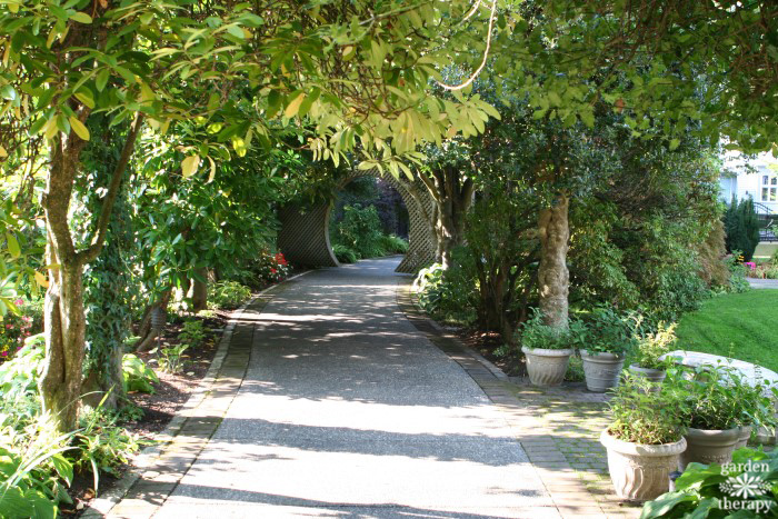 pathway surrounded by plants and trees leading to a moon gate