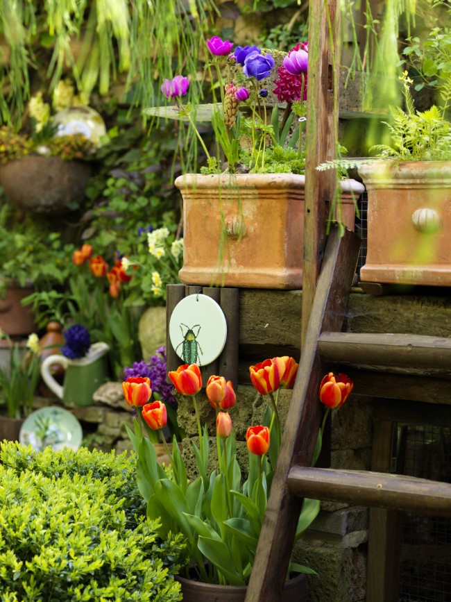 Combinação de bulbos de flores em vasos