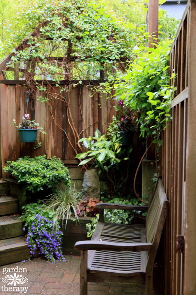 dopamine gardening sanctuary space with bench and plants in wooden fence corner