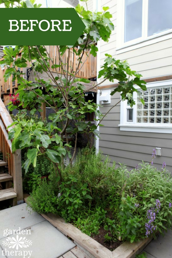 Herb Garden BEFORE renovation