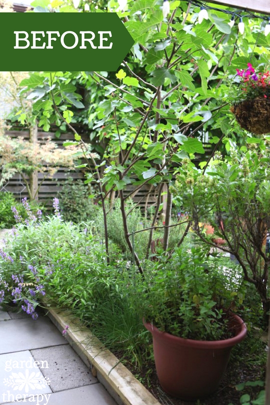 Overgrown herb garden BEFORE renovation