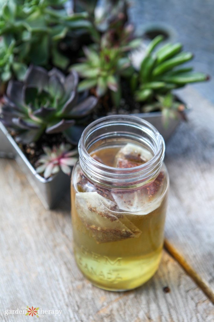 how to make sun tea