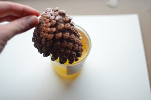 coating a pinecone in wax to make a homemade firestarter