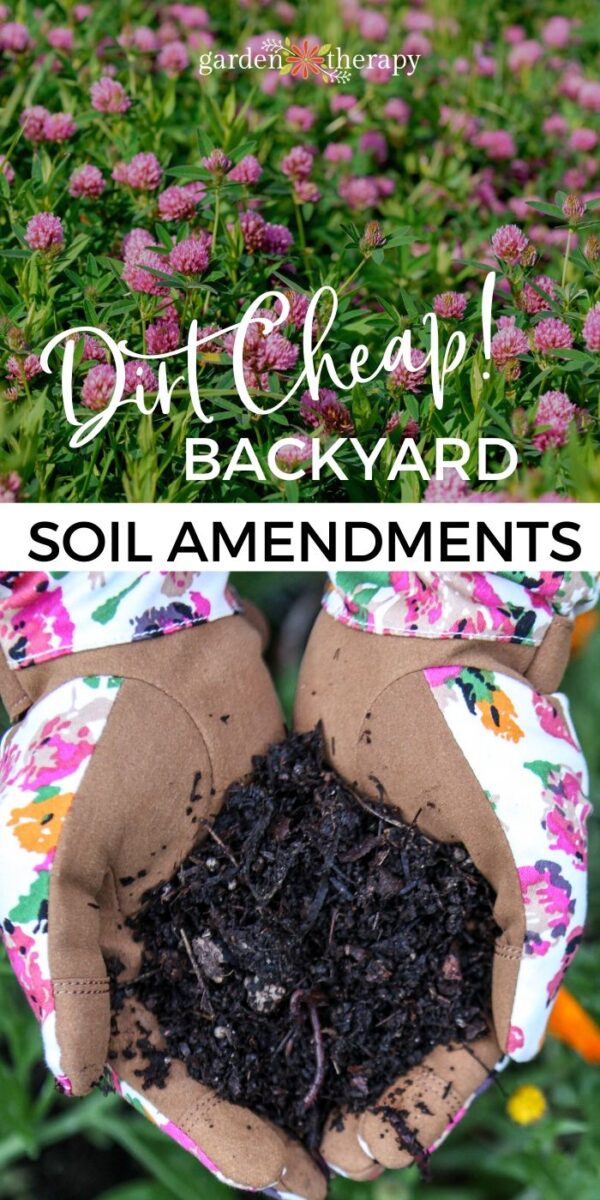 Soil Food The Best Dirt Cheap Organic Soil Amendments