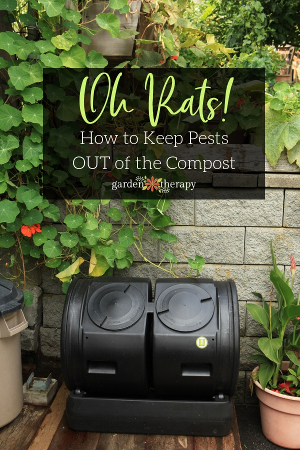 https://gardentherapy.ca/wp-content/uploads/2016/09/How-to-keep-pests-out-of-the-compost-2.jpg