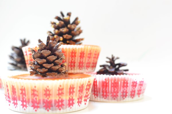 DIY Pinecone firestarters