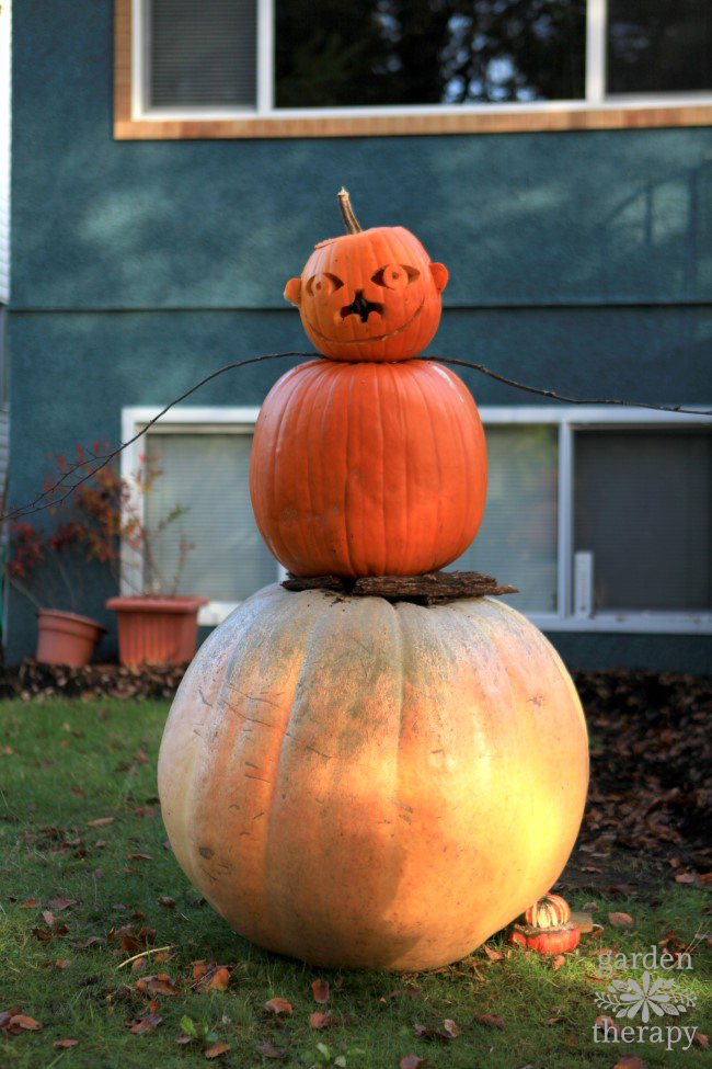 Jack-O-Lantern Man