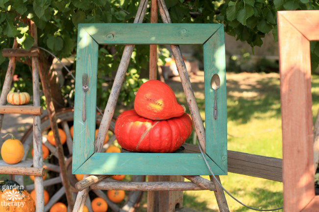 Fall decorating with pumpkins and squash