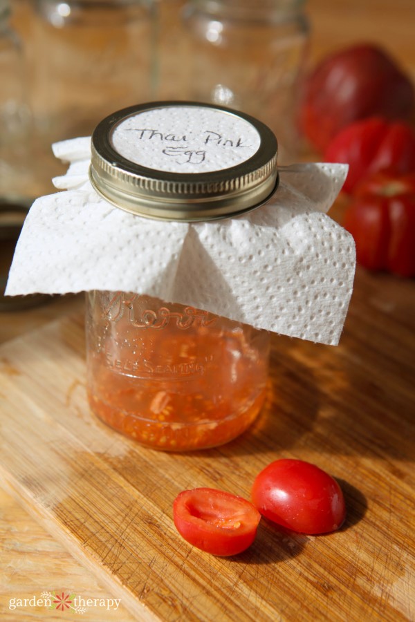 Saving tomato seeds in a mason jar