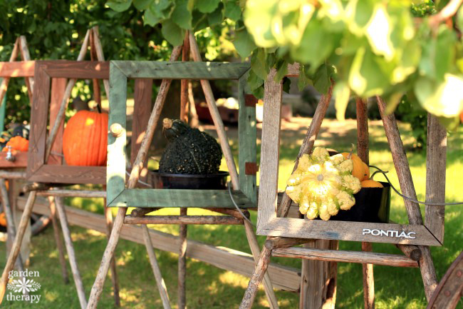 Squash in frames