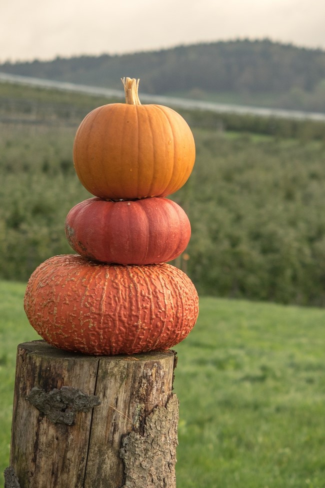stacked pumpkin topiary