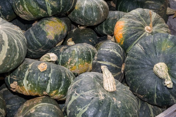 Discover the many varieties of winter squash available and learn the best way to cook them in this guide to demystifying winter squash.