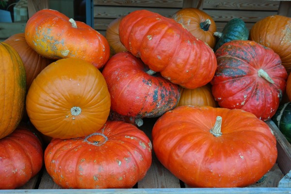 Discover the many varieties of winter squash available and learn the best way to cook them in this guide to demystifying winter squash.